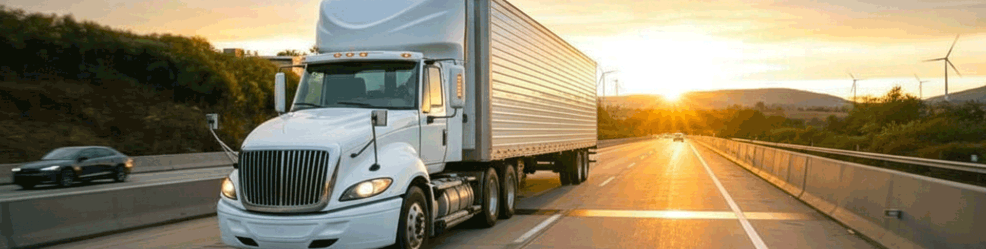 Less-Than-Truckload-(LTL)